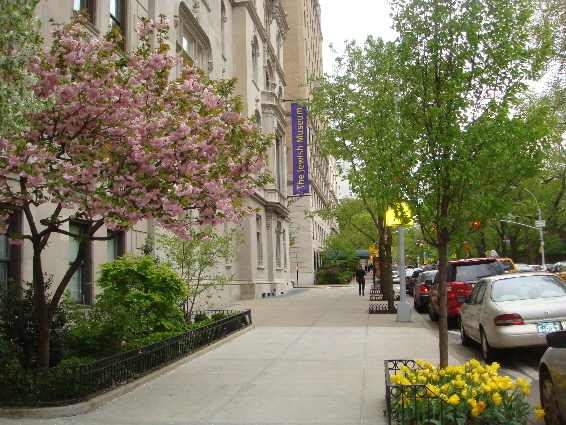 Flowers and trees in bloom outside the museum