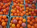 closeup tomatoes