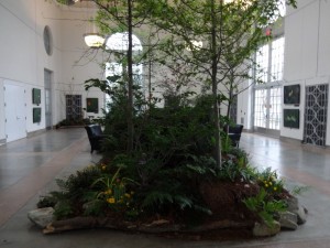 East Gallery plants