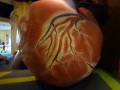 Giant heart close up