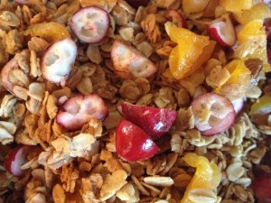 oats and apricots and cranberries