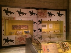Horses exhibit