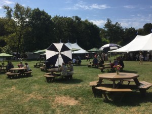 Art Festival picnic tables